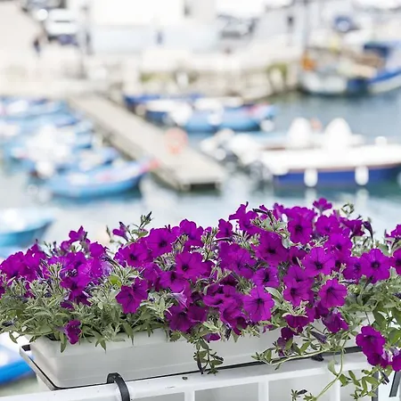 Casa vacanze Casetta Sul Porto Antico Piano Primo *